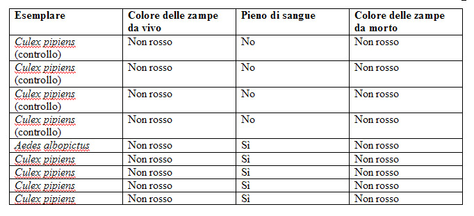 Informazione su Culicidae